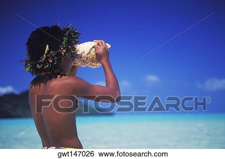 Rear view of a child blowing a conch shell on the beach, Hawaii, USA View Large Photo Image Stock Photograph - Rear view of a child blowing a conch shell on the beach, Hawaii, USA. Fotosearch