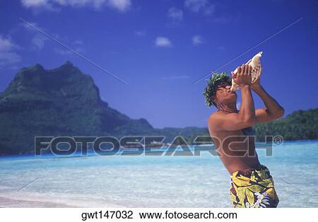 Side profile of a young man blowing a conch shell on the beach, Hawaii, USA View Large Photo Image Stock Image - Side profile of a young man blowing a conch shell on the beach, Hawaii, USA. Fotosearch