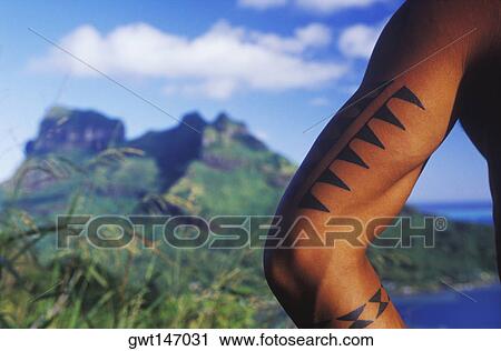 Tattoo on a man's arm, Hawaii, USA View Large Photo Image Stock Image - Tattoo on a man's arm, Hawaii, USA. Fotosearch