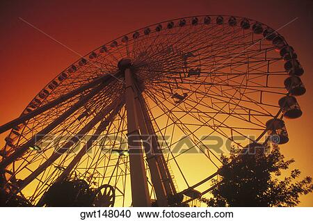 Low angle view of a ferris wheel, Texas, USA View Large Photo Image Stock Image - Low angle view of a ferris wheel, Texas, USA. Fotosearch