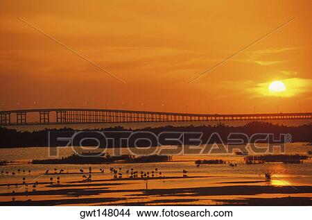 Panoramic view of a bridge at sunset, Texas, USA View Large Photo Image Picture - Panoramic view of a bridge at sunset, Texas, USA. Fotosearch