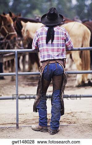 Rear view of a cowboy leaning against a railing View Large Photo Image Stock Photo - Rear view of a cowboy leaning against a railing. Fotosearch