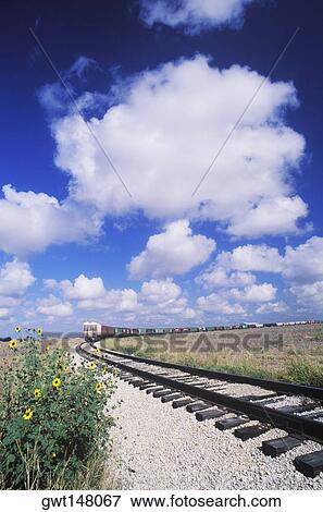 Train on a railroad track, Texas, USA View Large Photo Image Stock Photo - Train on a railroad track, Texas, USA. Fotosearch