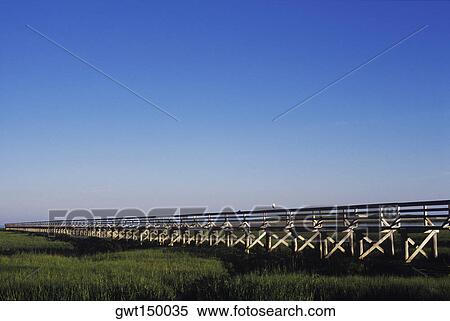 Stock Photography - Boardwalk across a marsh land. Fotosearch
