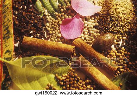 High angle view of spices and pulses View Large Photo Image Stock Image - High angle view of spices and pulses. Fotosearch