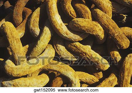 Close-up of a rusted chain View Large Photo Image Stock Photography - Close-up of a rusted chain. Fotosearch