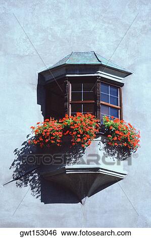 Low angle view of flowers in a window box, Hall, Austria View Large Photo Image Stock Photograph - Low angle view of flowers in a window box, Hall, Austria. Fotosearch
