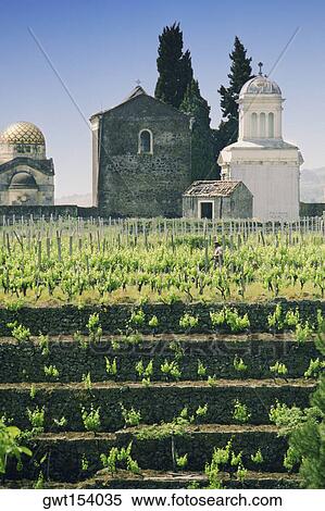 Vineyard in front of a church, Sicily, Italy View Large Photo Image Stock Photography - Vineyard in front of a church, Sicily, Italy. Fotosearch