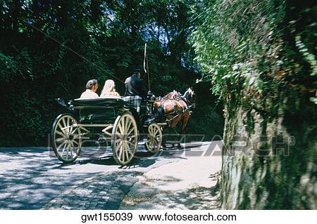Rear view of a couple traveling in a horsedrawn carriage, Portugal View Large Photo Image Stock Photo - Rear view of a couple traveling in a horsedrawn carriage, Portugal. Fotosearch