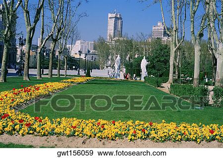 Trees in a garden, Spain View Large Photo Image Stock Photo - Trees in a garden, Spain. Fotosearch