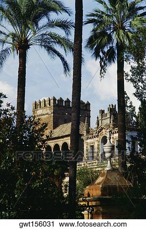 Trees in front of a fort, Alcazar, Seville, Spain View Large Photo Image Stock Image - Trees in front of a fort, Alcazar, Seville, Spain. Fotosearch