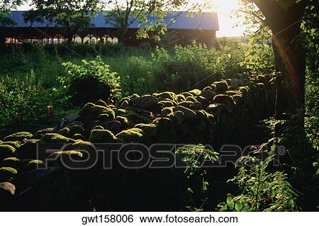 Stock Photograph - High angle view of a stone wall in a field, Vaxjo, Sweden. Fotosearch