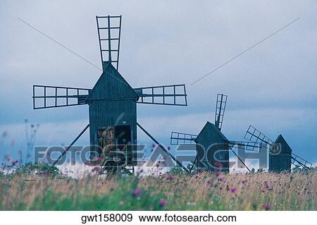 Windmills in a field, Oland, Sweden View Large Photo Image Stock Photo - Windmills in a field, Oland, Sweden. Fotosearch