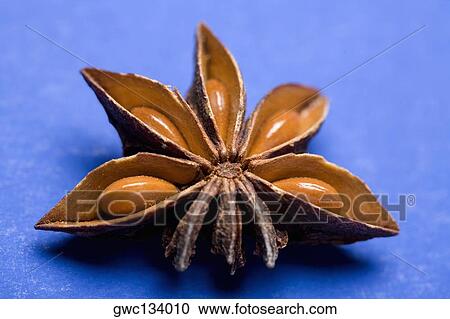 Close-up of a star anise View Large Photo Image Stock Image - Close-up of a star anise. Fotosearch