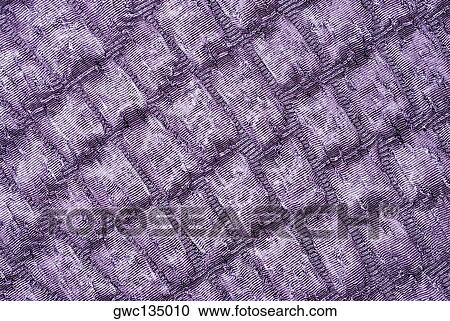 Close-up of a rippled fabric View Large Photo Image Stock Image - Close-up of a rippled fabric. Fotosearch