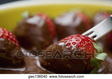 Stock Image - Close-up of a fork with chocolate covered strawberries. Fotosearch