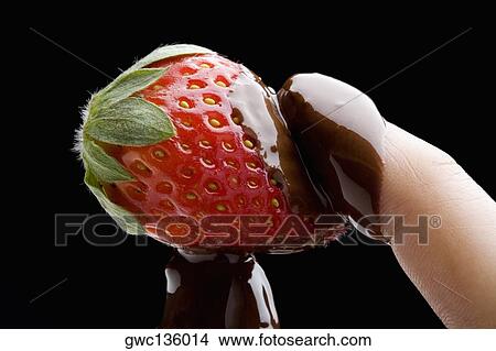 Close-up of a person's hand holding a chocolate covered strawberry View Large Photo Image Picture - Close-up of a person's hand holding a chocolate covered strawberry. Fotosearch