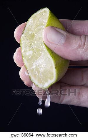 Close-up of a person's hand squeezing a lime View Large Photo Image Picture - Close-up of a person's hand squeezing a lime. Fotosearch