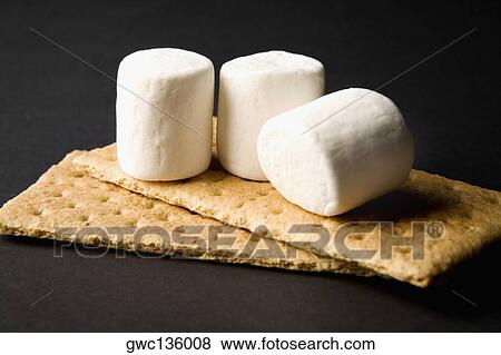 Close-up of marshmallows on crackers View Large Photo Image Stock Photo - Close-up of marshmallows on crackers. Fotosearch