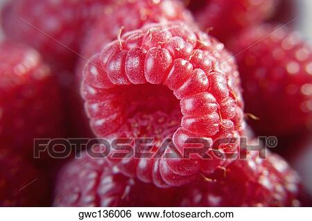 Stock Photograph - Close-up of raspberries. Fotosearch