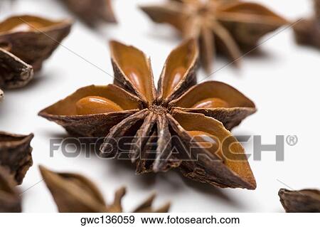 Close-up of star anise View Large Photo Image Stock Photo - Close-up of star anise. Fotosearch