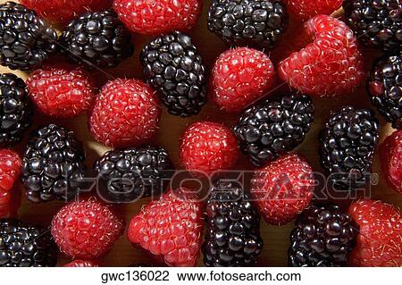 Close-up of strawberries and blackberries View Large Photo Image Stock Image - Close-up of strawberries and blackberries. Fotosearch