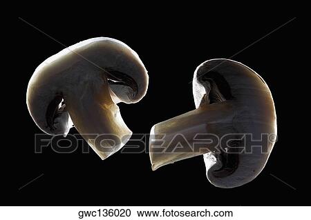 Close-up of two slices of mushroom View Large Photo Image Stock Image - Close-up of two slices of mushroom. Fotosearch