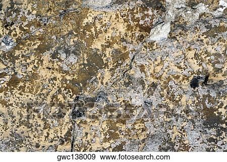 Close-up of a cracked plaster View Large Photo Image Stock Photo - Close-up of a cracked plaster. Fotosearch