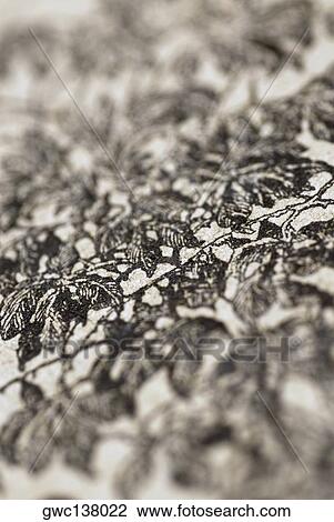 Close-up of a pattern View Large Photo Image Stock Image - Close-up of a pattern. Fotosearch