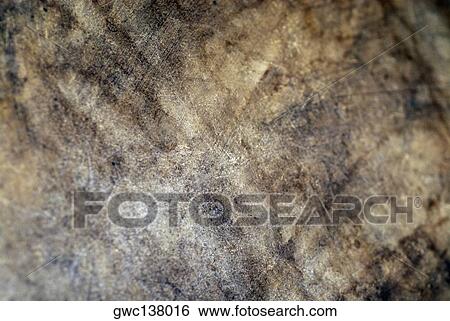 Stock Photograph - Close-up of a rusty iron sheet. Fotosearch