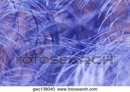 Close-up of blue strings View Large Photo Image Stock Image - Close-up of blue strings. Fotosearch
