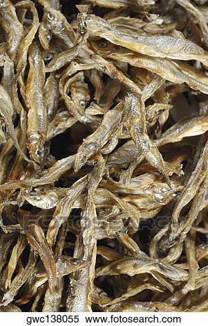 Stock Photography - Close-up of dried fish. Fotosearch