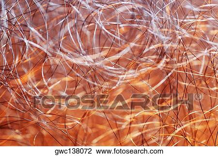 Close-up of meshed wires View Large Photo Image Stock Image - Close-up of meshed wires. Fotosearch