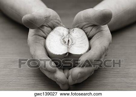 Stock Photo - Close-up of a person's hands holding a cross section of an apple. Fotosearch
