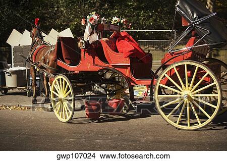 Close-up of a horse drawn carriage on the road View Large Photo Image Picture - Close-up of a horse drawn carriage on the road. Fotosearch