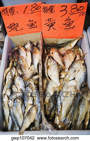 Close-up of fish in a fish market View Large Photo Image Stock Image - Close-up of fish in a fish market. Fotosearch