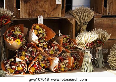 Close-up of flowers in a flower shop View Large Photo Image Stock Photo - Close-up of flowers in a flower shop. Fotosearch