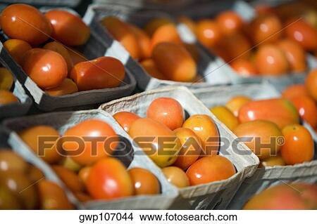 High angle view of tomatoes in containers View Large Photo Image Picture - High angle view of tomatoes in containers. Fotosearch