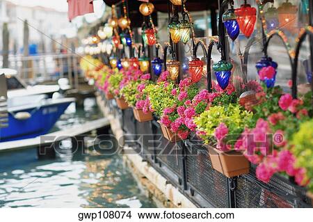 Potted plant on a railing, Venice, Veneto, Italy View Large Photo Image Picture - Potted plant on a railing, Venice, Veneto, Italy. Fotosearch