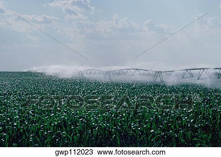 Center pivot irrigation system View Large Photo Image Stock Image - Center pivot irrigation system. Fotosearch