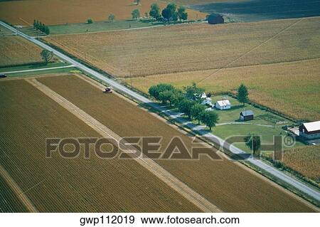 Ohio corn harvesting View Large Photo Image Stock Photo - Ohio corn harvesting. Fotosearch