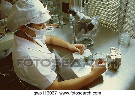 High angle view of a female scientist in a laboratory, Tochigi prefecture, Honshu, Japan View Large Photo Image Stock Photo - High angle view of a female scientist in a laboratory, Tochigi prefecture, Honshu, Japan. Fotosearch