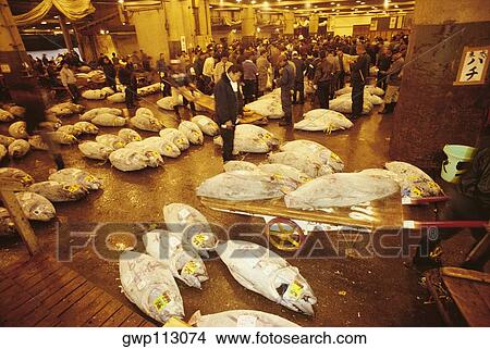 High angle view of a fish market, Tsukiji Fish market, Tsukiji, Tokyo Prefecture, Japan View Large Photo Image Picture - High angle view of a fish market, Tsukiji Fish market, Tsukiji, Tokyo Prefecture, Japan. Fotosearch