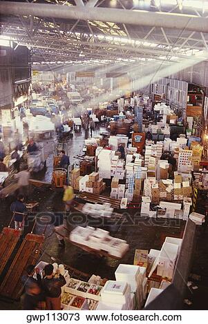 High angle view of a fish market, Tsukiji Fish Market, Tsukiji, Tokyo Prefecture, Japan View Large Photo Image Stock Image - High angle view of a fish market, Tsukiji Fish Market, Tsukiji, Tokyo Prefecture, Japan. Fotosearch