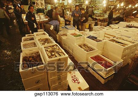 Large group of people in a fish market, Tsukiji Fish market, Tsukiji, Tokyo Prefecture, Japan View Large Photo Image Stock Photograph - Large group of people in a fish market, Tsukiji Fish market, Tsukiji, Tokyo Prefecture, Japan. Fotosearch