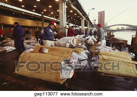 Male buyers inspecting tuna in a fish market, Tsukiji Fish market, Tsukiji, Tokyo Prefecture, Japan View Large Photo Image Stock Photo - Male buyers inspecting tuna in a fish market, Tsukiji Fish market, Tsukiji, Tokyo Prefecture, Japan. Fotosearch