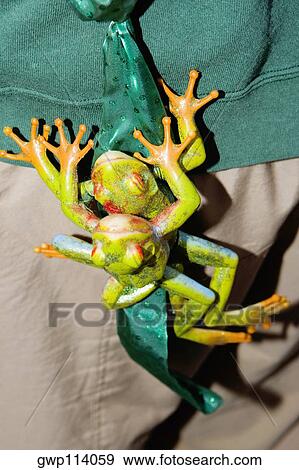 Stock Photo - Close-up of two toy frogs. Fotosearch