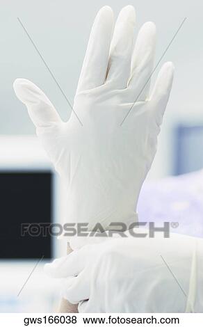 Female doctor wearing surgical gloves View Large Photo Image Stock Photo - Female doctor wearing surgical gloves. Fotosearch