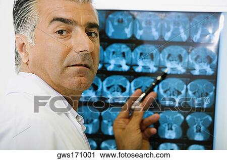 Portrait of a male doctor pointing at an X-Ray View Large Photo Image Stock Image - Portrait of a male doctor pointing at an X-Ray. Fotosearch