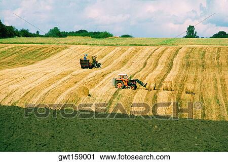 Stock Image - High angle view of tractors in a wheat field, Funen County, Denmark. Fotosearch